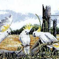 white cockatoos - a country threads cross stitch chart booklet