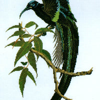 black sickle-billed bird of paradise - a ross originals cross stitch chart