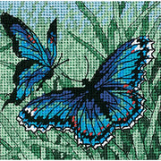 Butterfly Duo - a Dimensions Needlepoint Kit