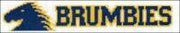 act brumbies rugby cross stitch design for a bookmark