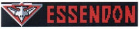 essendon bombers afl logo cross stitch design for a bookmark
