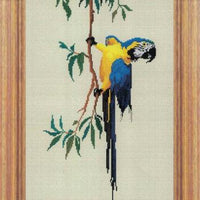 macaw cross stitch design