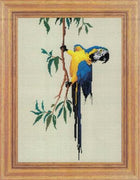 macaw cross stitch design