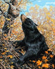 Black Bear - A Collection d'Art Tapestry Canvas