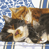 sleeping kittens - a collection d'art tapestry canvas