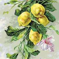 bouquet of flowers and lemons - pre-printed on aida from collection d'art