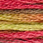 dmc 4510 coloris stranded cotton