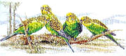 budgie buddies - a country threads cross stitch chart booklet