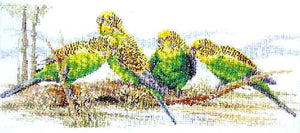 budgie buddies - a country threads cross stitch chart booklet