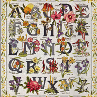 australian wildflowers sampler - a country threads cross stitch chart
