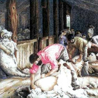 Shearing the Rams (Tom Roberts) - A Country Threads Cross Stitch Chart