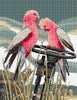 perching pair of galahs - a counted cross stitch chart from country threads