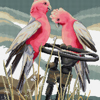 perching pair of galahs - a counted cross stitch chart from country threads
