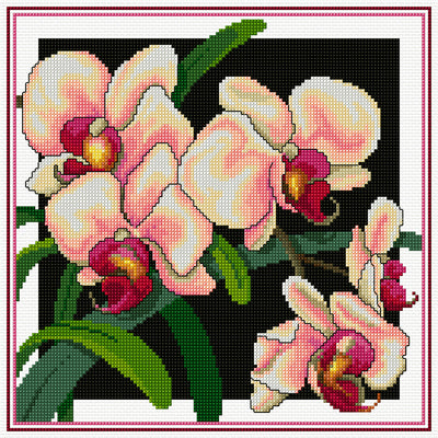 pink phallys - a counted cross stitch chart from country threads