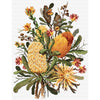 banksias - a country threads cross stitch booklet