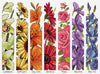 parallel petals - a counted cross stitch chart from country threads