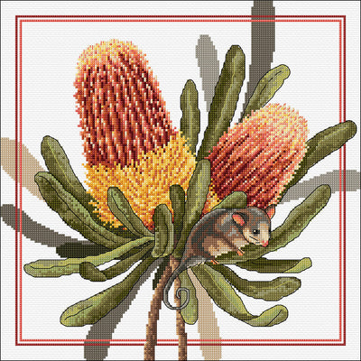 banksias and pigmy possum - a counted cross stitch chart from country threads