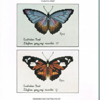 australian beak butterfly - a ross originals cross stitch chart