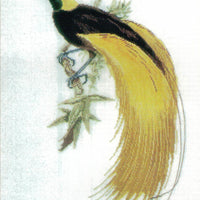 greater bird of paradise - a ross originals cross stitch chart