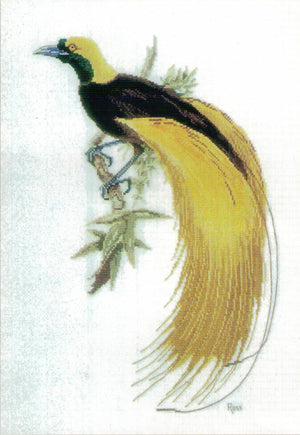 greater bird of paradise - a ross originals cross stitch chart