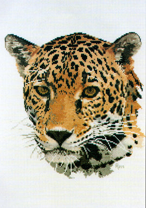 jaguar - a ross originals cross stitch chart