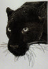 panther - a ross originals cross stitch chart