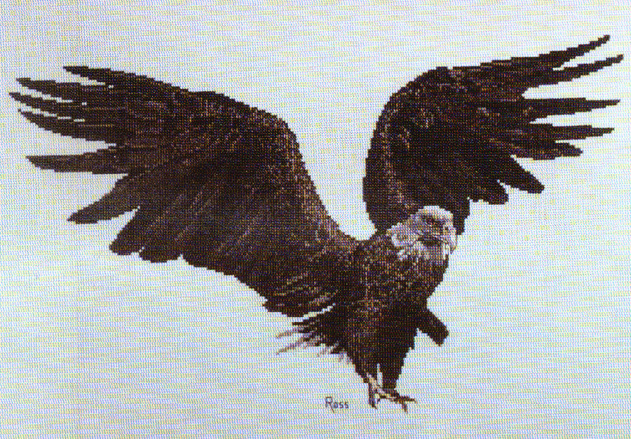 bald eagle - a ross originals cross stitch chart