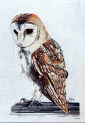 barn owl - a ross originals cross stitch chart