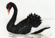 black swan - a ross originals cross stitch chart