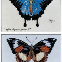 blue ulysses butterfly - a ross originals cross stitch chart