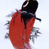 count raggi's bird of paradise - a ross originals cross stitch chart