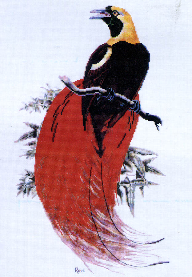 count raggi's bird of paradise - a ross originals cross stitch chart