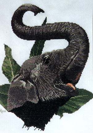 indian elephant - a ross originals cross stitch chart