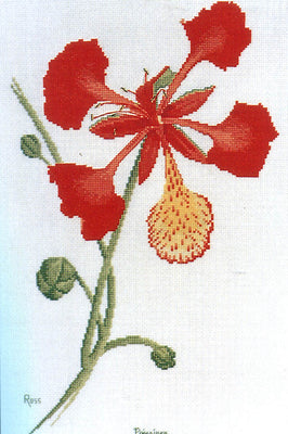 poinciana - a ross originals cross stitch chart