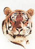 tiger - a ross originals cross stitch chart