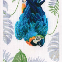 macaw - a rto cross stitch kit