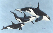 killer whales - a couchman creations cross stitch chart