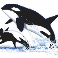 orcas - a couchman creations cross stitch chart