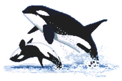 orcas - a couchman creations cross stitch chart
