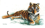 adolescence - a couchman creations tiger cross stitch chart