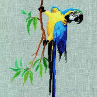 macaw - a couchman creations cross stitch chart