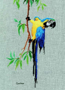 macaw - a couchman creations cross stitch chart
